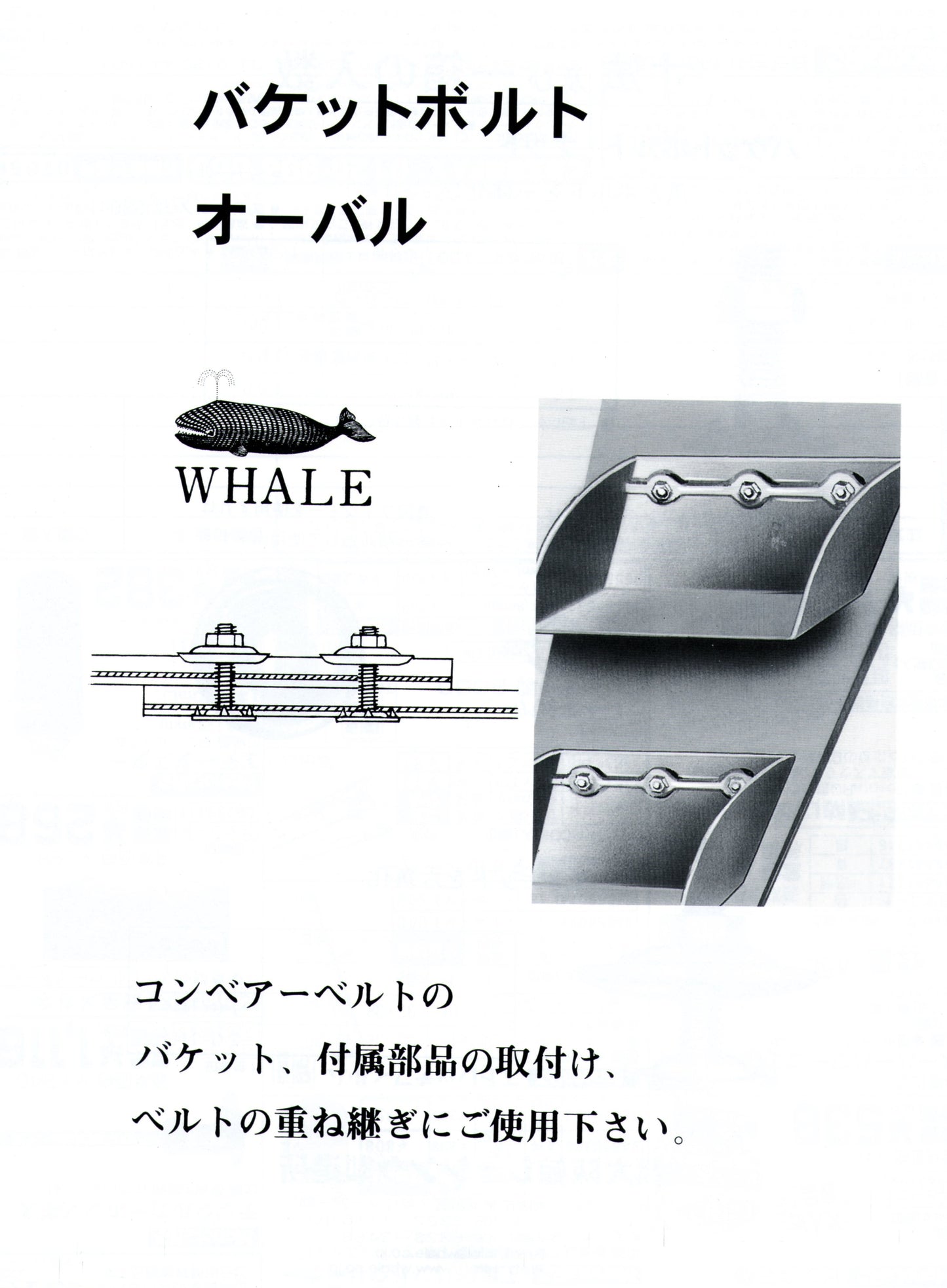 ステンレス製　バケットボルト　M12